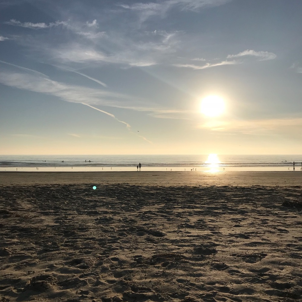 Meet your Posher, Haleina